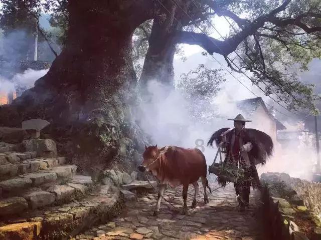 魔晶猎人GO