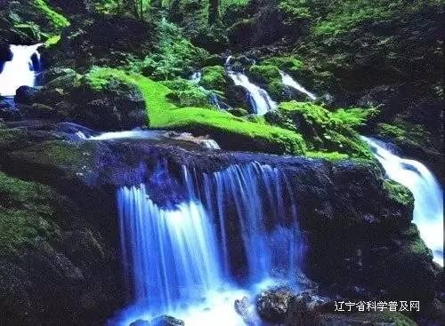 逃出安逸小乡村